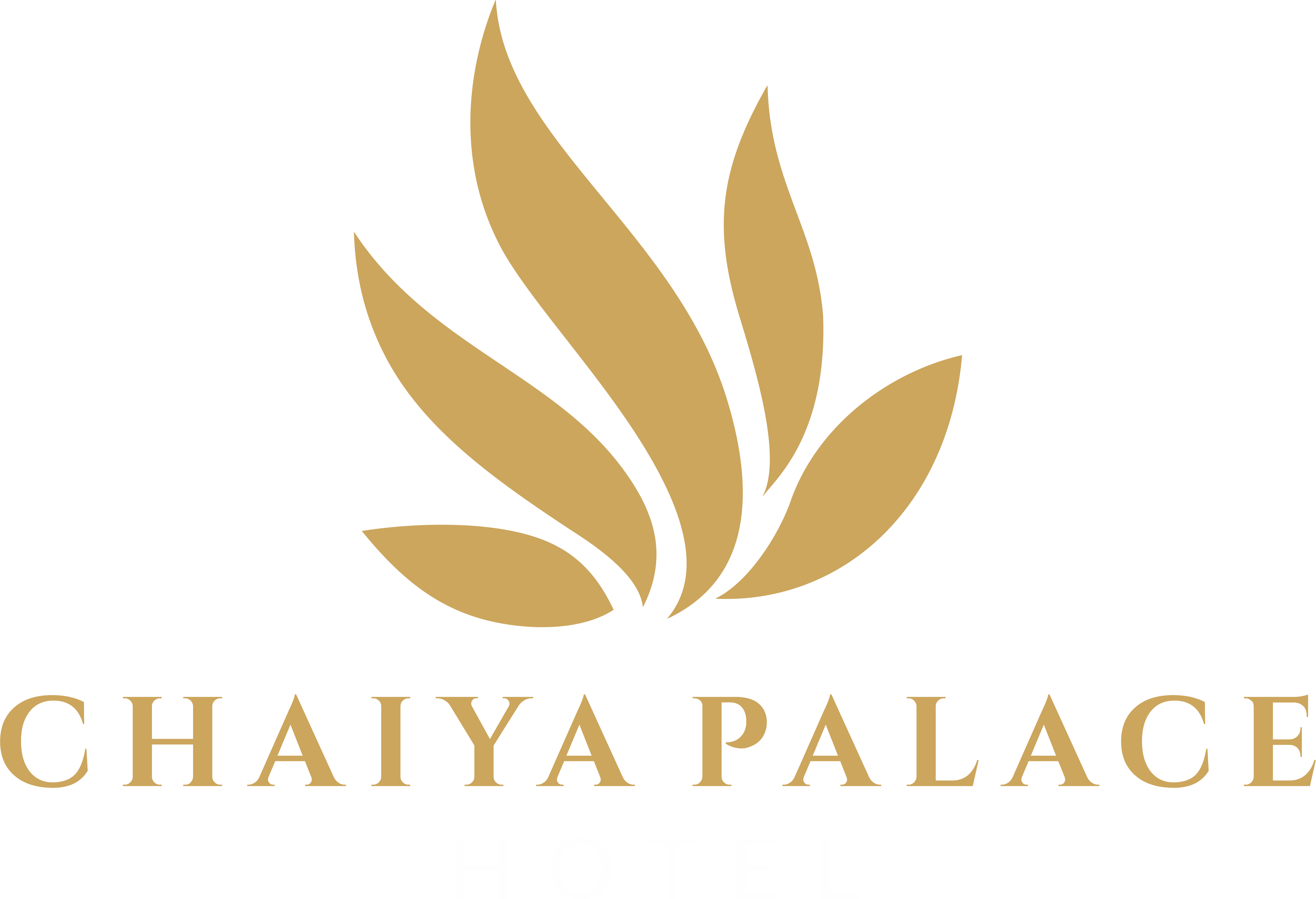 Chaiya Palace Hotel